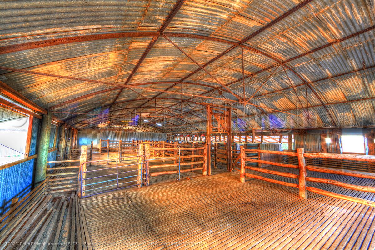 Peter Bellingham Photography Bucklow Station - Woolshed - NSW SQ (PB5D 00 2637)